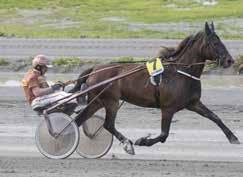 tilhørte hun outsidersjiktet, men endte uplassert etter galopp.