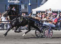 emte fra spor 12 i fjorårets NM, og har vært uheldig med sporet også i år. 9. Odd Herakles - Tom Erik Solberg (kusk) - Lars O.