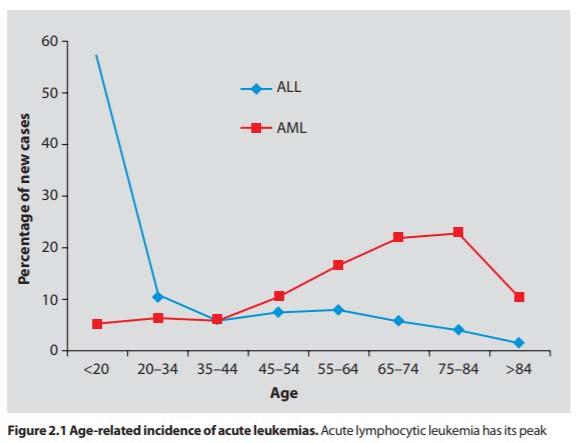 Akutt leukemi -aldersfordeling Fiegl M.