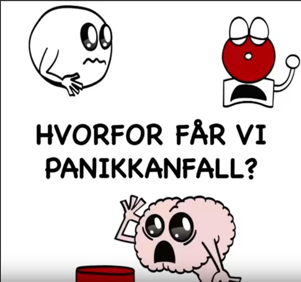 Hva er panikkanfall?