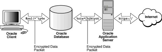 Federal Information Processing Standerd (a) MkVk bfuøi'ku (Data Encryption) ;fn database esa laosnu'khy lwpukvksa dks lafpr djds j[kk tkrk gs vfkok lwpukvksa dks Network ds ekè;e ls fofhkuu LFkkuksa