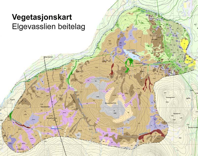 Figur 3. Vegetasjonskart over beiteområdet til Elgevasslien beitelag.