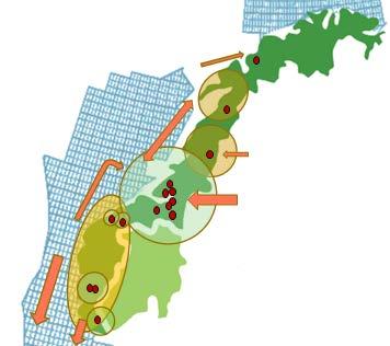 TEMADELEN Kapittel 4 Verdikjedene og nettverk Treffsikker skog- og næringspolitikk virker best når den rettes mot de forskjellige utfordringer næringa har i ulike deler av landet.