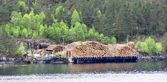 Totalt har staten bevilget ca. 100 millioner kroner til tømmerkaier, hvorav ca. 50 millioner kroner har gått til kystskogfylkene.