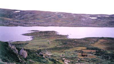 Tilbakerekna vekst i første leveåret for dei ti største sjuåringane (årsklasse 997) frå kvart vatn det vart prøvefiska i, varierer frå 3,-3,5 cm (i Krokavatna og Kvennsjøen) til, cm (i Krokavatn i