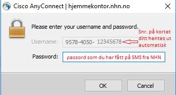 6 Figur 4 Pin-kode Deretter får du opp en dialog hvor du må taste inn passordet som du har fått tildelt, velg