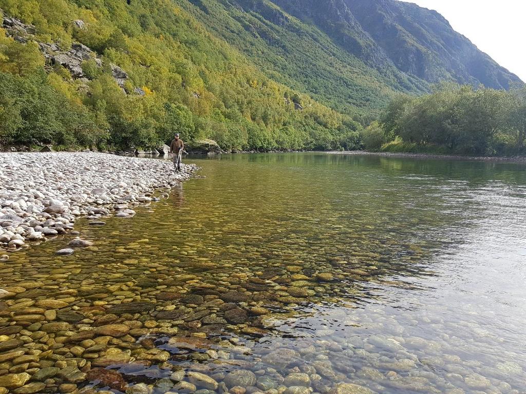 Bilde 3. Stasjon 13B ligger ved høyre bredd rett nedstrøms Kirkesteinshølen i Sunndal. Her ble de høyeste tetthetene av laksyngel funnet høsten 2017. Foto: Øyvind Solem, NINA.