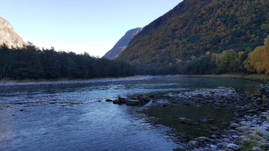 Bilde 6. Stasjon 4 ligger ved venstre bredd ved Leangen i Sunndal. Her ble den høyeste tettheten av aureparr funnet høsten 2016. Foto: Øyvind Solem, NINA.