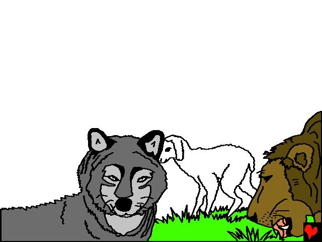 Endatil mektige løver spiser halm sammen med oksene.