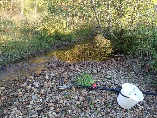 Leiråa, som kalles Bangstadelva lokalt, renner ut i Ørnhaugbukta i Tosenfjorden, og drenerer skog- og myrlandskap med mye leire i grunnen.