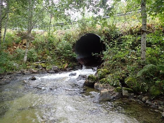 150 m oppstrøms Gaupmarkvegen, på en meandrerende strekning langs jordene ved Granåsen, er det flere