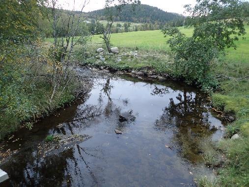 Bilde: Øvre deler av anadrom strekning i Skjelsvikelva (t.v.) og nedre deler ved utløp i sjø (t.h.). Fiskeroselva Fiskeroselva renner ut ved Fiskerosen like sør for Røytvoll i Bindalsfjorden.