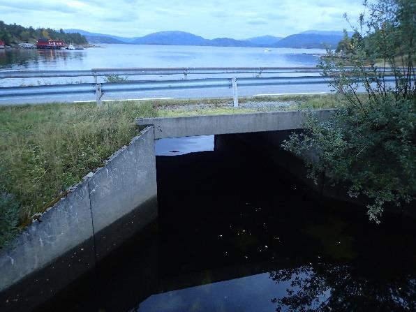 h.). Røytvollelva Røytvollelva er ei lita elv som renner ut ved Røytvoll i Bindalsfjorden. I følge grunneieren i Skjelsvikelva går det opp sjøørret i elva.