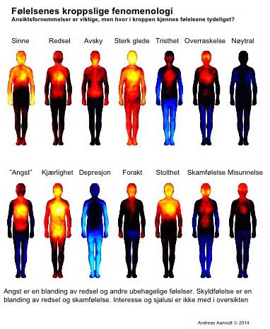 Her er en oversikt over grunnfølelsene, samt hva som kan aktivere dem og hvordan de kan oppleves. NB: Det finnes mange ord for følelsene Grunnfølelser Hva kan aktivere følelsene?