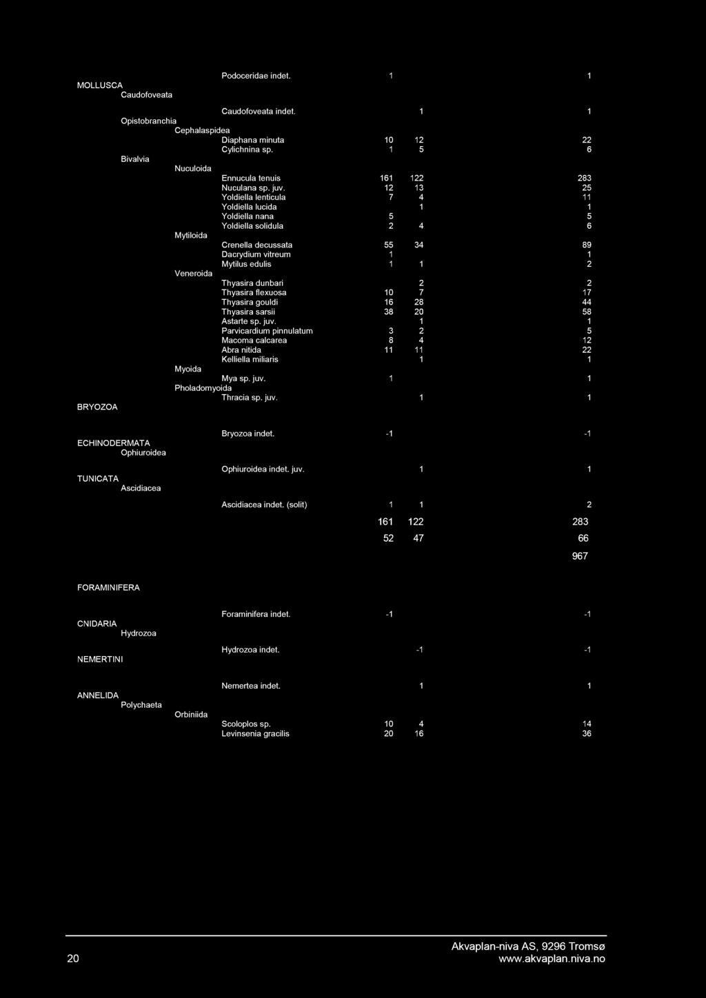 Rekke Klasse Orden Art/Taxa 01 02 Sum MOLLUSCA Caudofoveata Podoceridae indet. 1 1 Caudofoveata indet. 1 1 Opistobranchia Cephalaspidea Diaphana minuta 10 12 22 Cylichn ina sp.