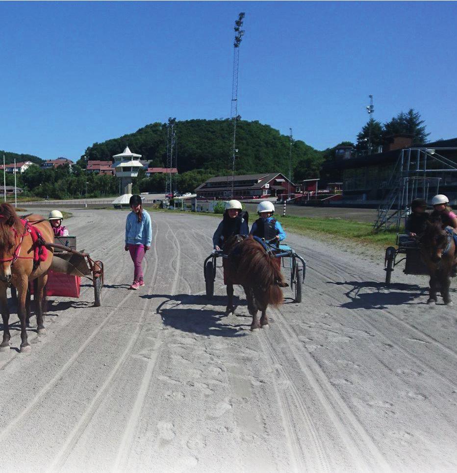 Järvsöfaks Oppdr.: Jæren Hingst AS Eier: Team Aina Svart m/blått sidefelt&ermr,hv.søm,rek Geir Mikkelsen (T) - rode Grindheim 018: 018: 6-0 -0-0 -0-0 - -,6v -15.000-0 A. Berås A. Berås A. Berås A. Berås A. Berås - -8,v -6.