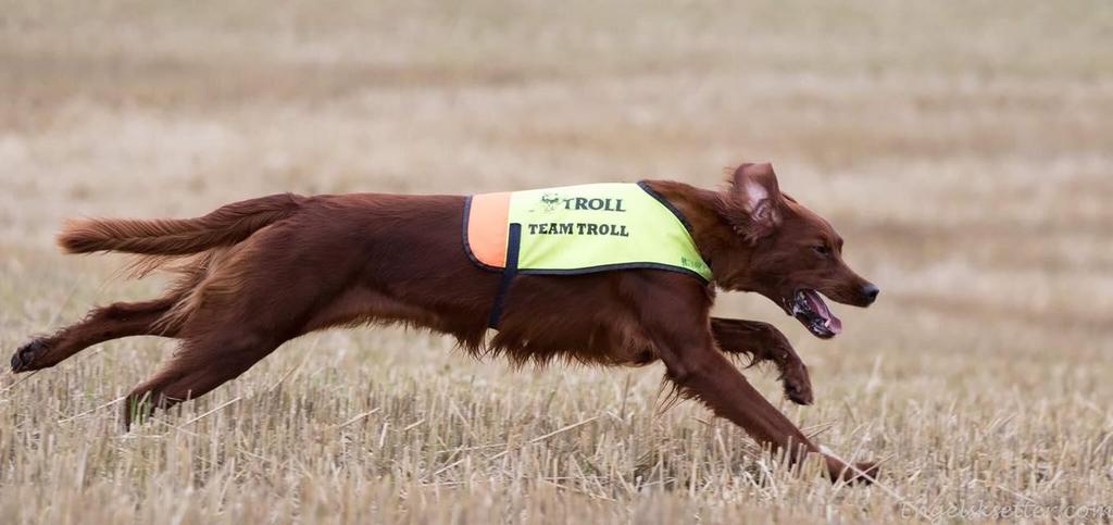 Vinner Sølvhundcup: In