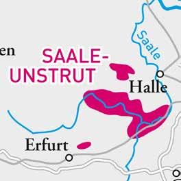 SAALE-UNSTRUT Tyskland minste og nordligste region ikke helt ulik fra Sachsen. Begge disse er i det tidligere Øst Tyskland. Kontinentalt klima med høy risiko for frost men er ofte solrikt.