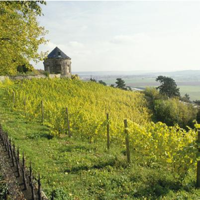 Jordsmonnet er av kalkholdig kalkstein og farget sandstein. Likt Sachsen er dette en hvitvinsproduserende region med Müller- Thurgau som den dominerende drue.