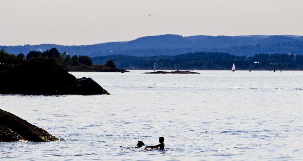 Etter all sannsynlighet smittet med Vibrio-bakterier da hun badet på Båtstøjordet Sjøtemperaturen godt over 20 grader Celcius ved nærmeste målepunkt i mer enn