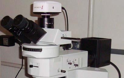 53 Figura 11: Modelo de Microscópio BX51M OLYMPUS/ INFINITY, com resolução de até 2000x.