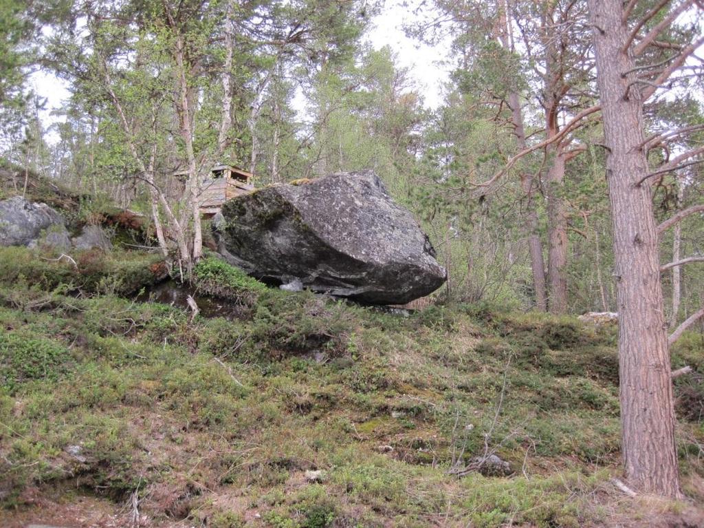 grunnbrudd i bratte veiskjæringer.