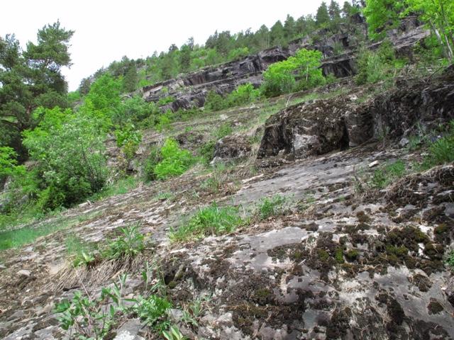 Klepsland Rike bergsva fra KO1.