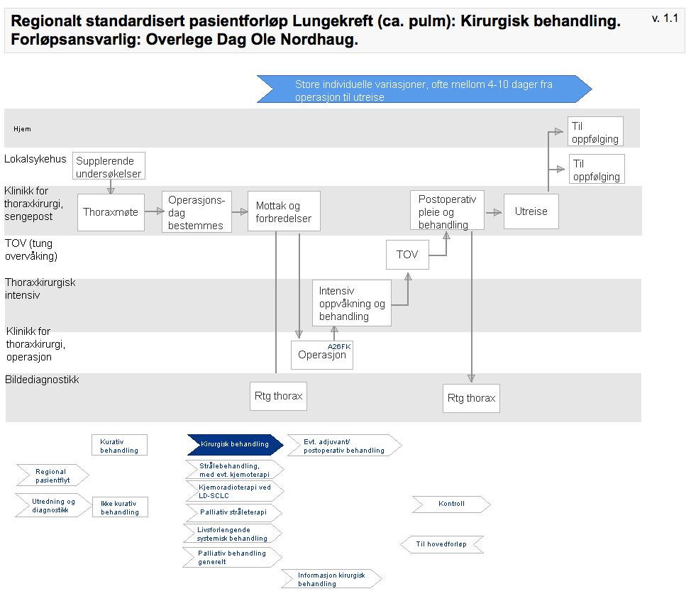 Figur 5) Standardisert pasientforløp vedr.