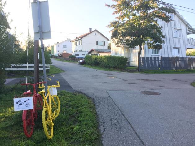 Skiltet angir dessuten at trafikkreglenes bestemmelser om bruk av slik veg gjelder.