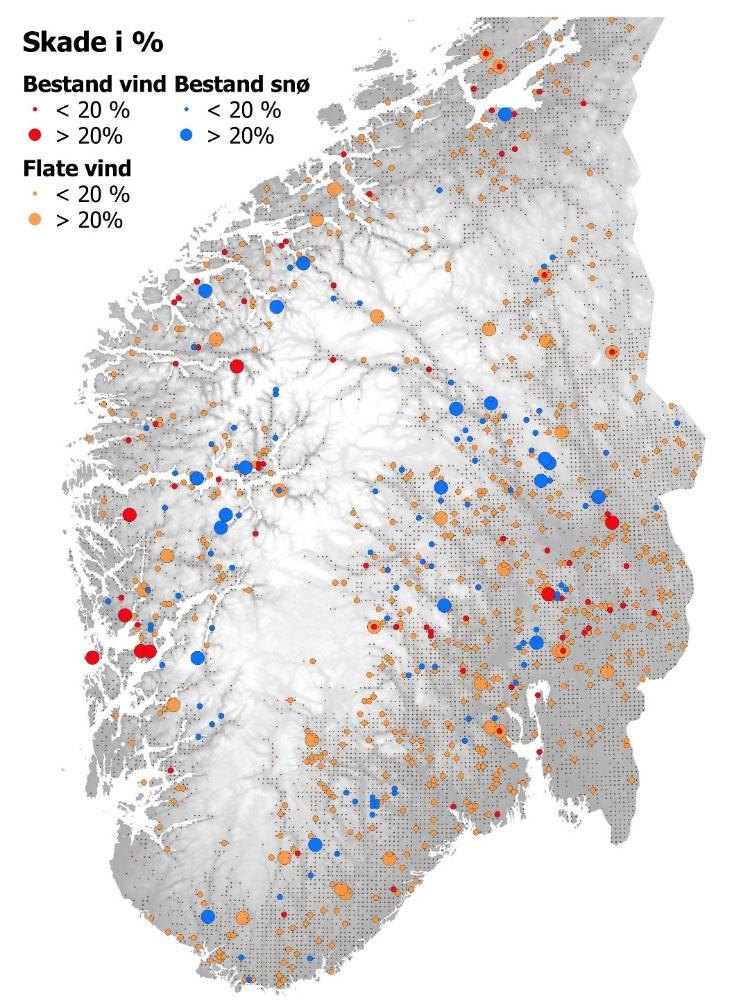 alle flatene er fordelt utover i et regulært nettverk på 3km x 3km, og alle flater med vind- og snøskader er framhevet med farge og økt størrelse.