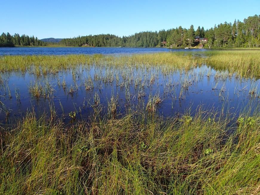 Gjøsjøen Gjøsjøen (219 moh.) har et areal på ca. 9,9 ha. Stasjon 1 ligger i innsjøens østlige del og substratet domineres av grus og stein.