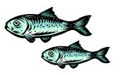 ..7 E fiskebestd i et forureset v vtr med 5 % per år. Fiskebestde i vet er bereget til å være 5 000 fisk i dg. ) Skriv opp fiskebestde de fire første åree. L det første året være fiskebestde i dg.