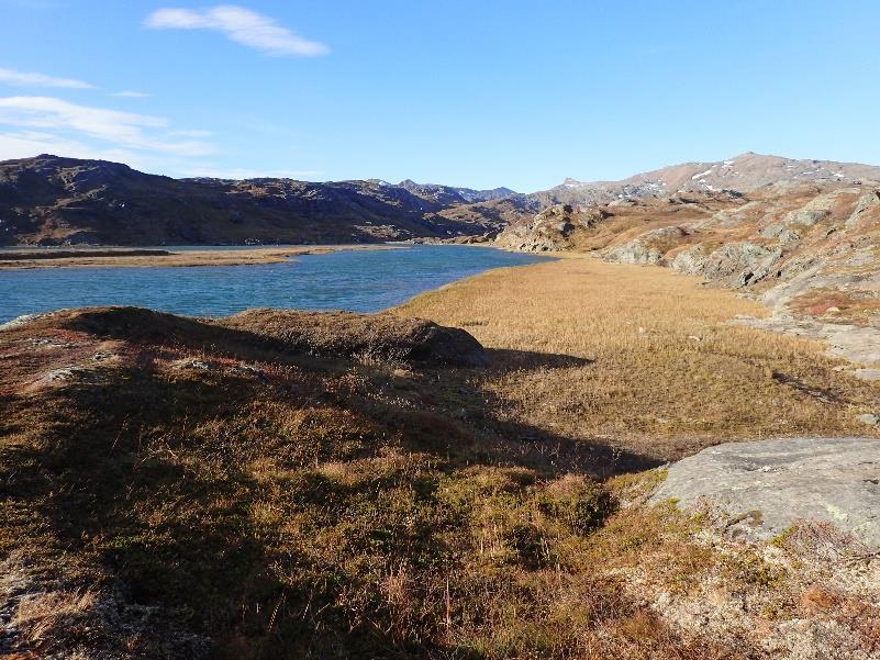 Under befaringen i oktober 2017, nokså seint i vekstsesongen, var ikke alle karplanter mulig å påvise.