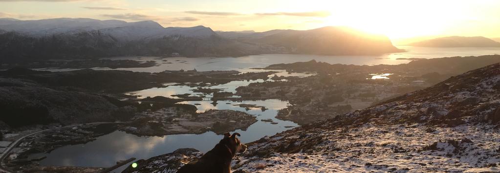 2 3.. Nydelig utsikt fra Leinehornet VELKOMMEN TIL LEINE- NÆRT BÅDE BY OG NATUR På Leinøya i Herøy kommune skal det bygges 2 innholdsrike tomannsboliger med OMRÅDET turmuligheter både i fjæra og