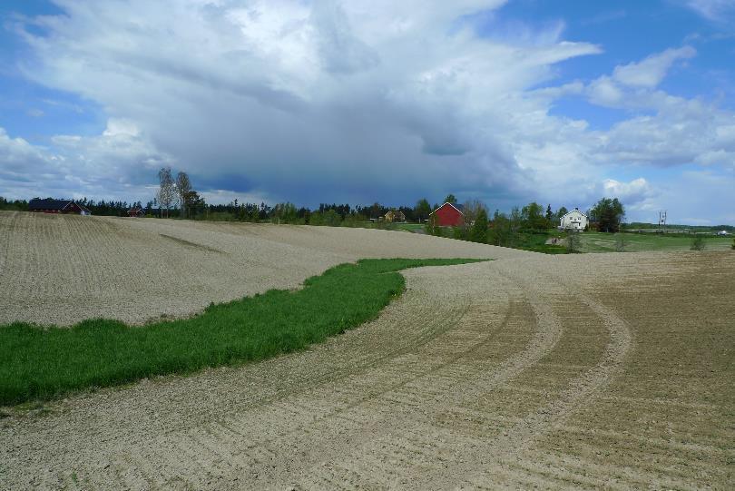 VEGETASJONSDEKKE INNE PÅ ÅKEREN Grasdekt vannvei