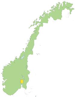 Vegetasjon som miljøtiltak i jordbruket: