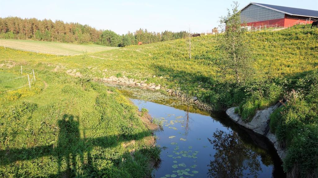 Grasdekte vannveier Grasstriper i åker INNE PÅ ÅKER VEGETASJON kan redusere