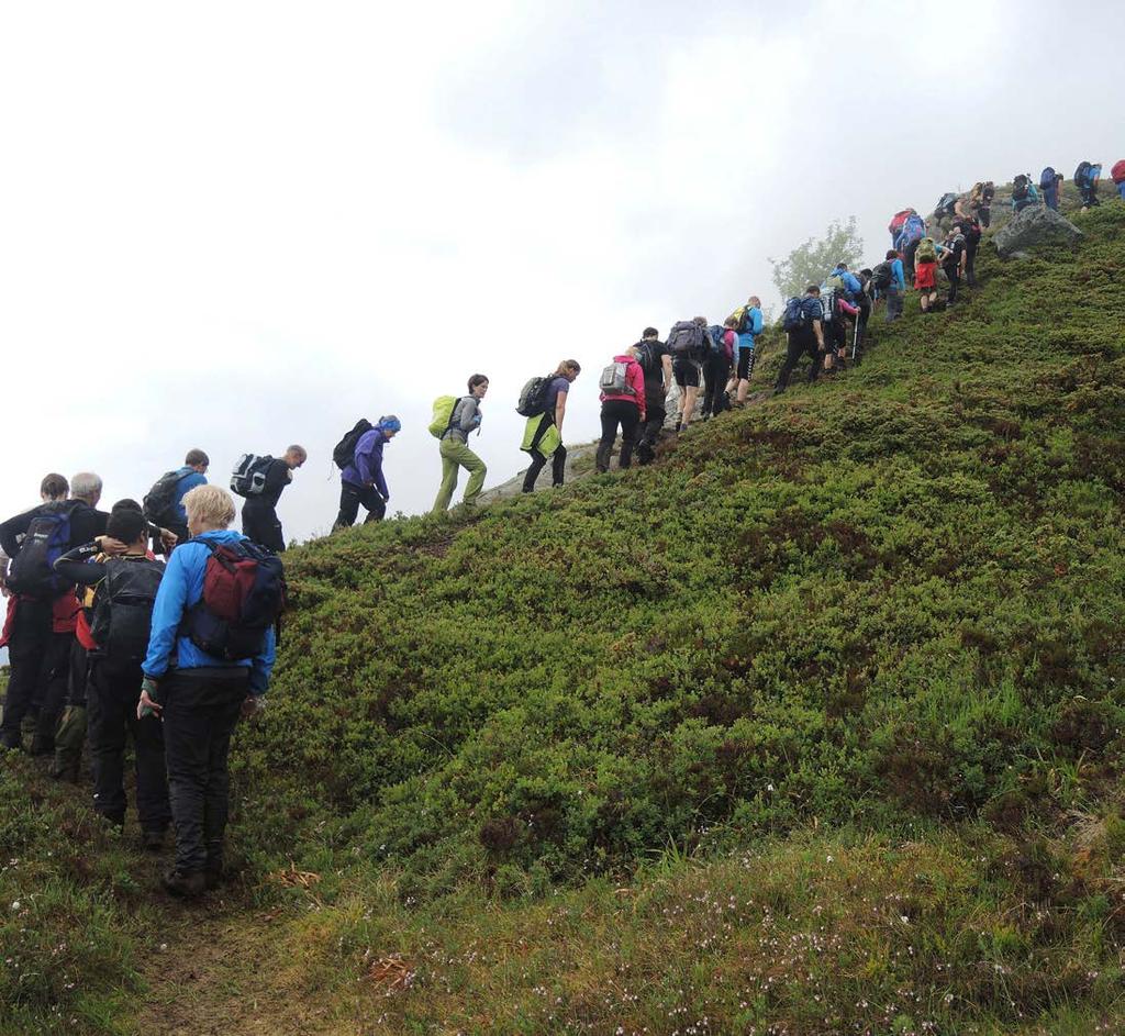 Viefjellet frå Soleide 673 m.o.h / 2,5 km Krevjande Stien er skilta frå Soleide, her kan du òg parkere. Den første delen opp gjennom småskogen kan vere litt kronglete.