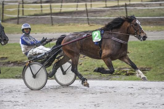 Dag Sveinung Dalen.7.