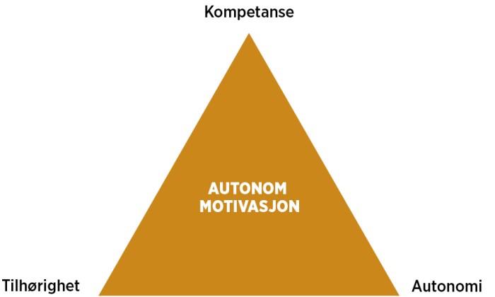 Figur 2 Basale behov: fundamentet for vedvarende autonom motivasjon (Stone, Deci, & Ryan, 2009).