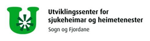 Satsingsområde 2019 Demensplan 2020 Tenesteutvikling, velferdsteknologi Kvalitetsforbetring og pasienttryggleik Tenester til personar med utviklingshemming Arbeids- og organisasjonsformer av