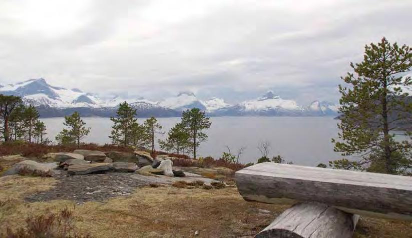 ti med historie 4 GAMMELVEIEN TURSTI Foto: Sort/hvitt bilde Nikolai Alstadsæther / Steinar Strand Ca.