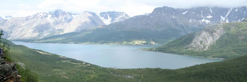 Naturforvalteren Aksjeselskap Side 17 langs kanten her er det et område med gråor-heggeskog (C3) med gråor (Alnus incana), mjødurt (Filipendula ulmaria), skogstorkenebb (Geranium sylvaticum) og