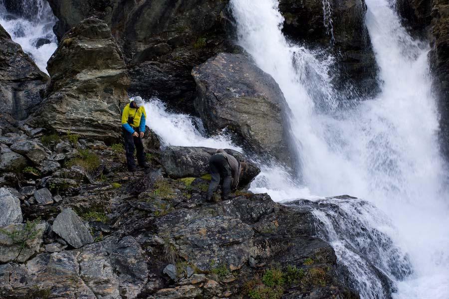 Naturforvalteren Aksjeselskap Side 18 Turrelva Fjellvegetasjon Fjellområdene ble ikke nærmere undersøkt.