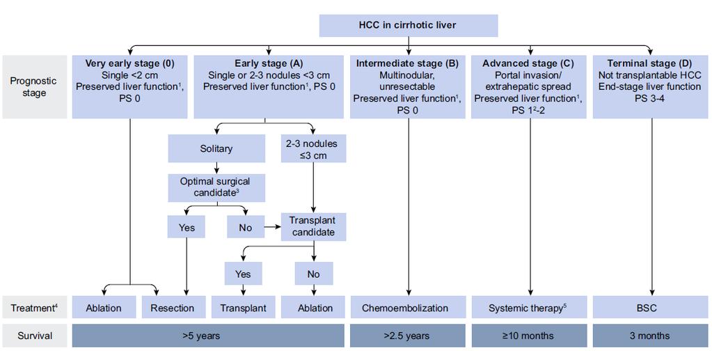 18/13706 23-05-2019 side 17/68 Figur 2: Klassifisering av HCC-pasienter basert på BCLC-klassifikasjonssystemet. Hentet fra EASL Clinical Practice Guidelines (6).