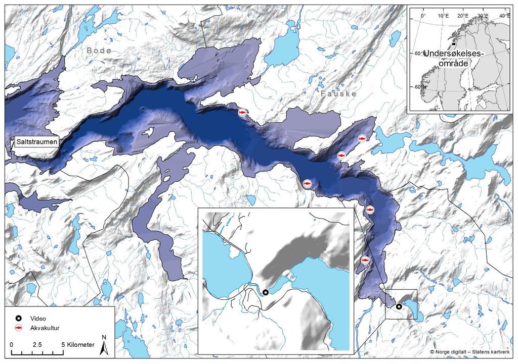 2 Materiale og metode 2.1 Områdebeskrivelse Innsjøen Botnvatnet (Saltdal koune) drenerer ut til Saltdalsfjorden øst for Saltdalselva via den 5 m lange Botnelva (figur 1).