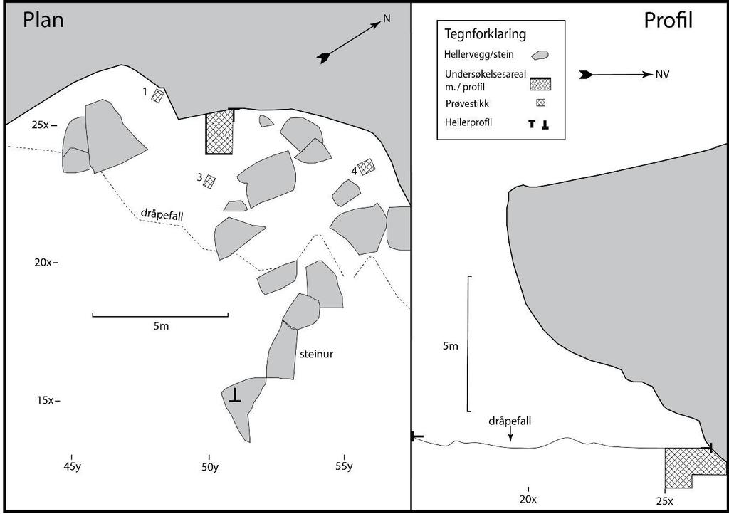 Figur 20. Plan og profil av Olsteinhelleren. Figur hentet fra Bergsvik og Waraas (2014).