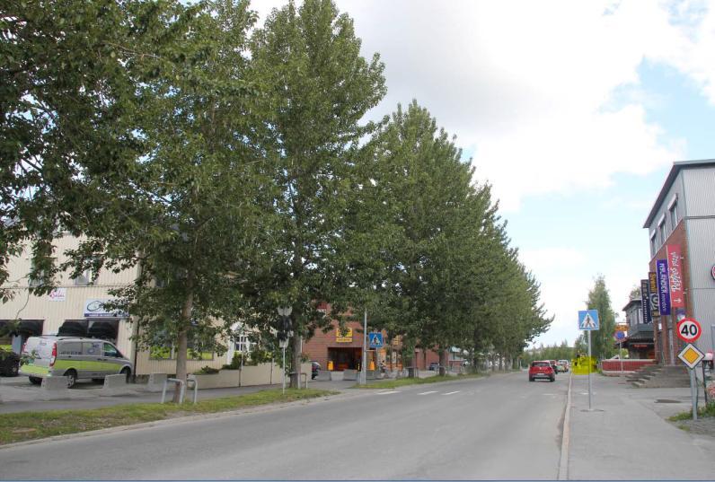 Planområdet ligger midt i Heimdal sentrum, hvor arealbruken består av en kombinasjon av bolig, næring og forretning. Øst for planområdet ligger Heimdal stasjon med tilhørende parkeringsplass.