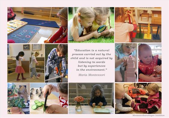 Årsplan 2019 for Montessoribarnehagen Solsikken