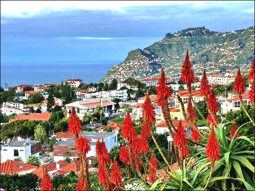 oktober: Funchal og omegn (F) Denne halvdagsturen vil gi oss nye interessante naturopplevelser og mektige inntrykk.
